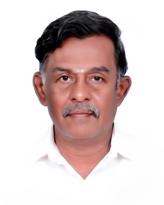 V. Veeramani